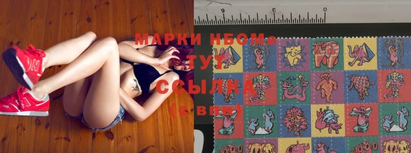 крисы Алексин