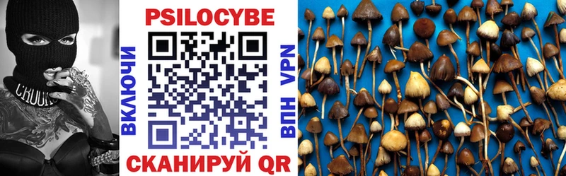 Галлюциногенные грибы Magic Shrooms  цена наркотик  mega ссылки  Ивангород 